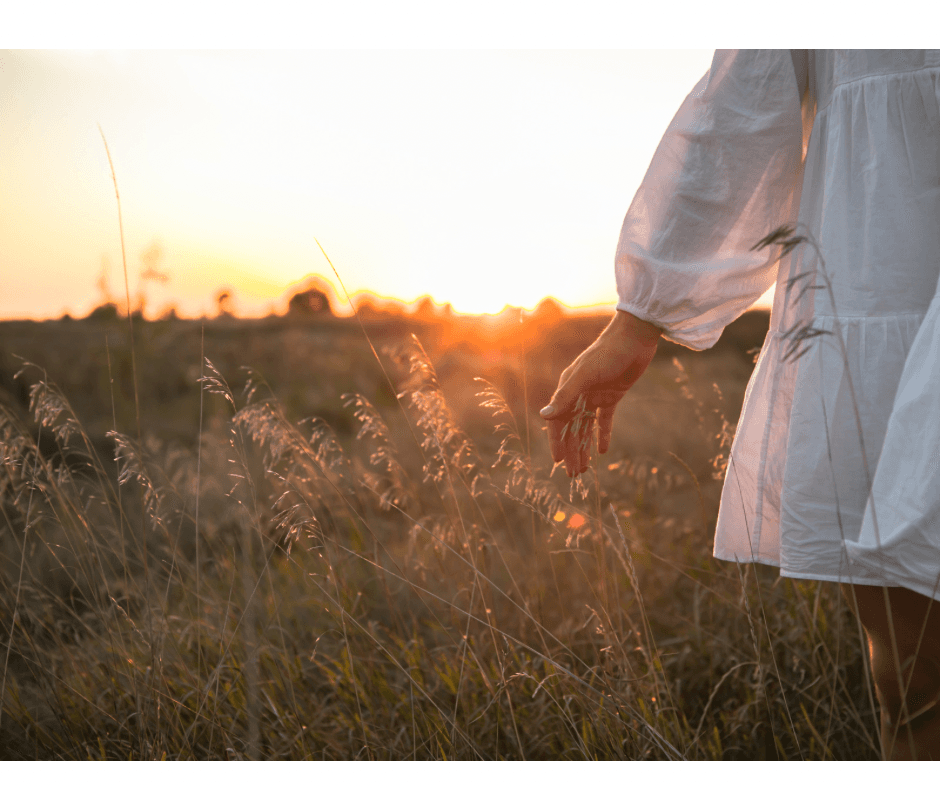 Calm, grounded therapeutic space